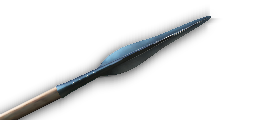 Druzhinnik Lance